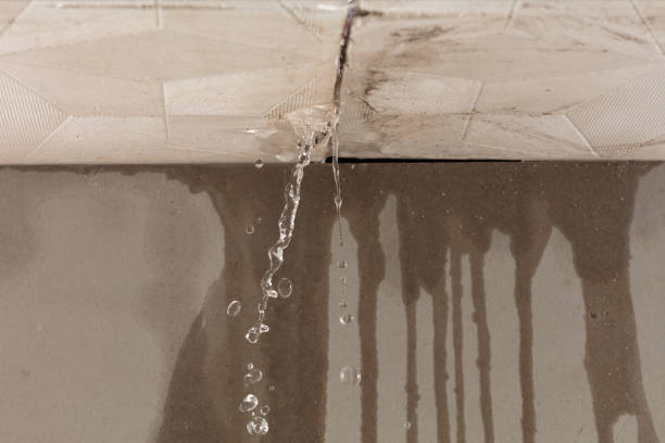 Professional Water Extraction technician working in Northfield, IL